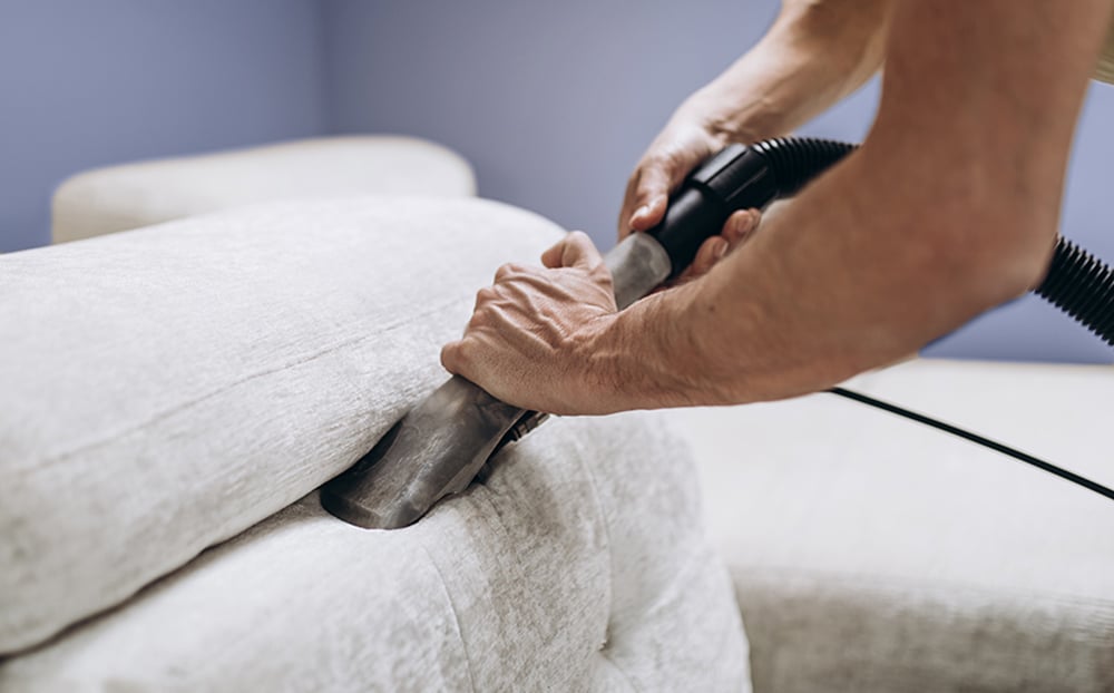 Sofapolster werden mit einem Spezialsauger gereinigt