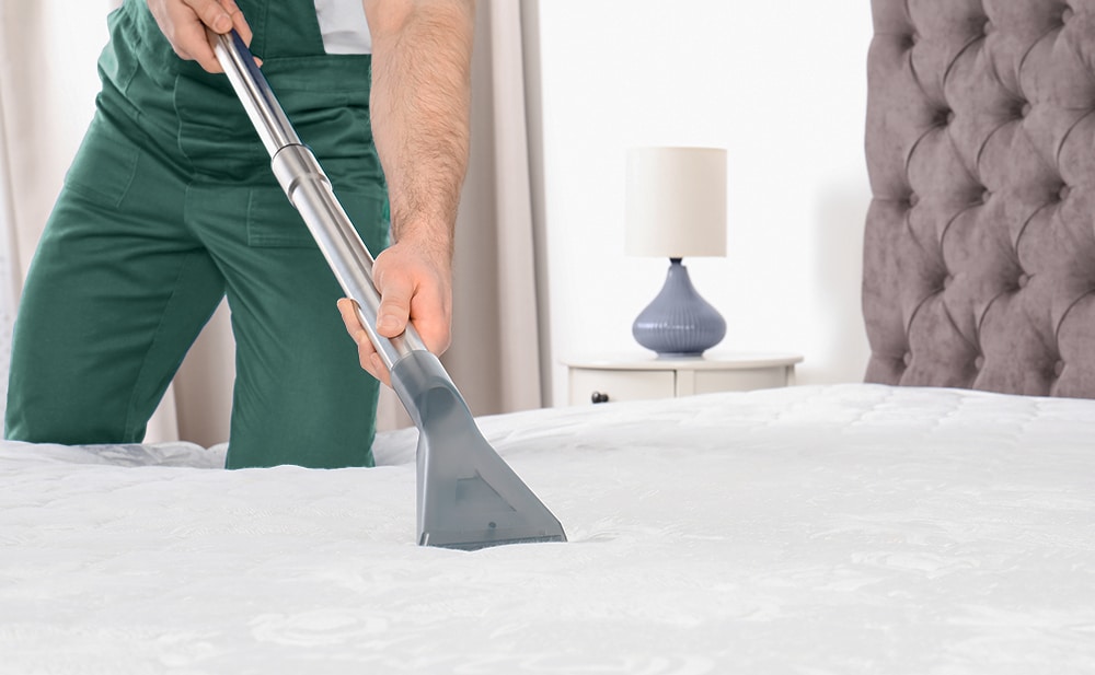 Matratze wird von mit einem Sauger professional gereinigt